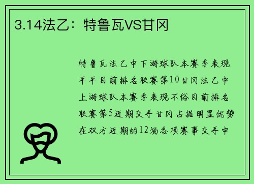 3.14法乙：特鲁瓦VS甘冈